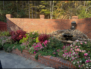 flowerbeds in bloom