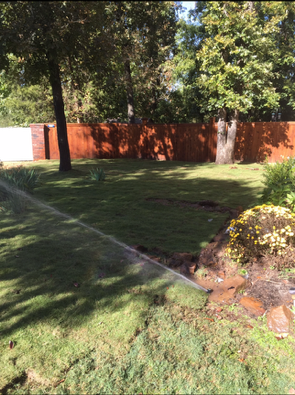 lawn care with wooden privacy fence