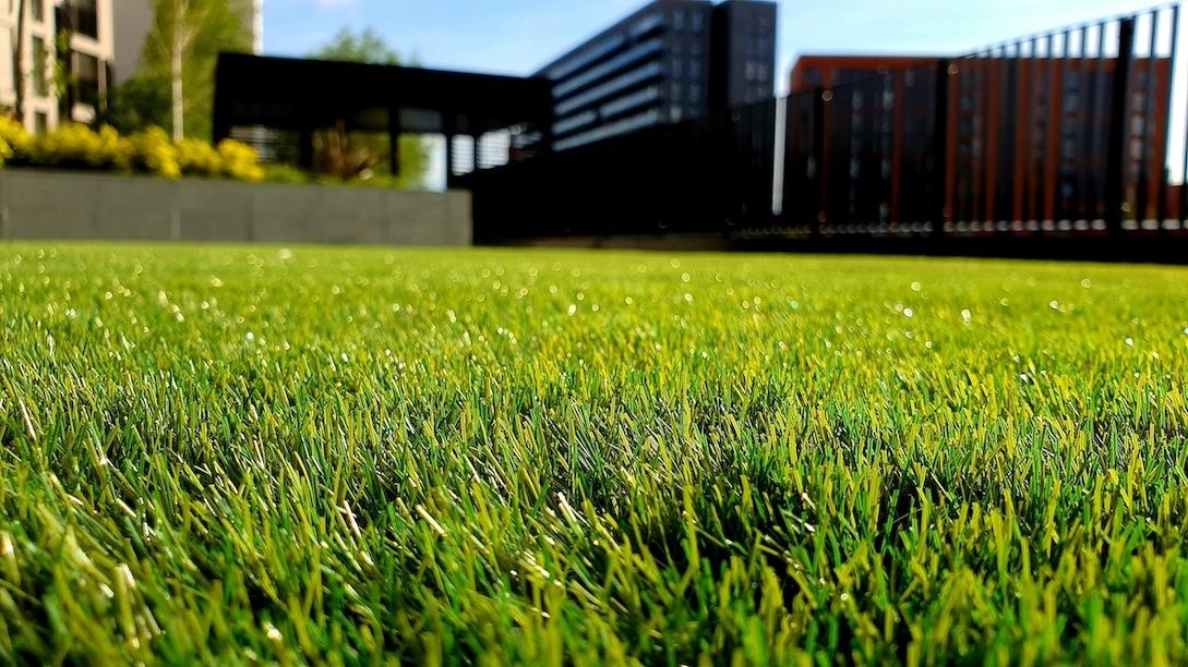 close up lawn with fresh cut